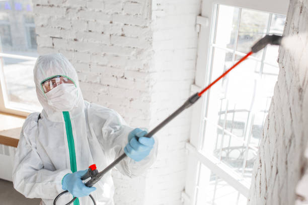 Best Commercial Mold Inspection  in Spring Glen, UT