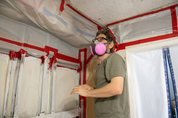 Spring Glen, UT Mold Removal Company