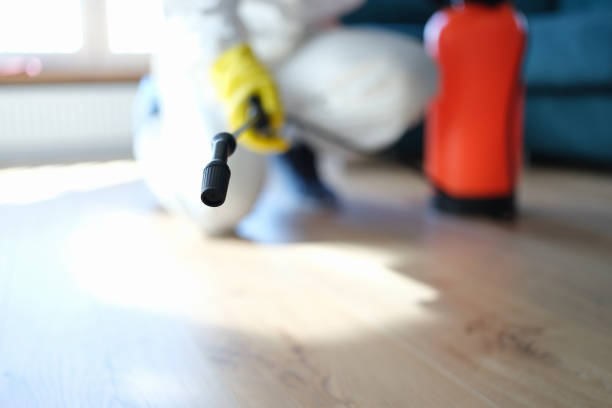 Best Residential Mold Inspection & Testing  in Spring Glen, UT