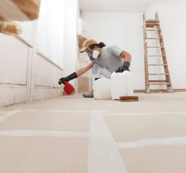 Best Biohazard Mold Removal  in Spring Glen, UT